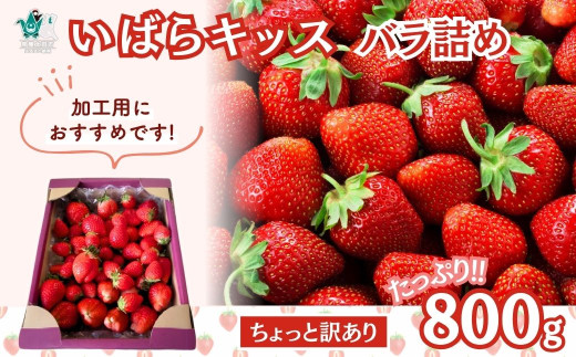 訳あり苺 いばらキッス たっぷり800g いちご バラ詰め 加工用 | イチゴ いちご 苺 ちょっと訳あり 香り フルーツ 新鮮 朝採れ 果肉 甘味 品質 健康 果物 デザート 食べ比べ 人気 自宅用 加工用 製菓用 いばらキッス 茨城県 常陸太田 檜山いちご園