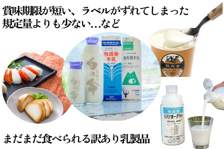 【3か月定期便】牧成舎の訳あり乳製品福袋（牛乳・ヨーグルト・チーズ詰め合わせ）訳あり 福袋 DF228