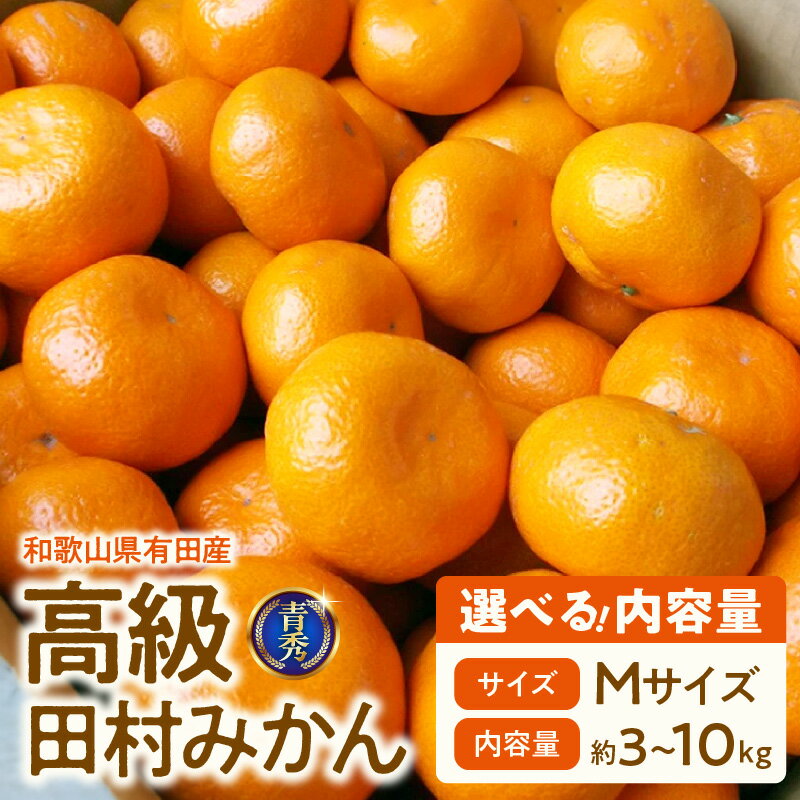【ふるさと納税】「高級 田村みかん」 青秀 選べる 内容量 約 3kg ～ 10kg Mサイズ 和歌山県有田産 有田みかん【ミカン 蜜柑 柑橘 温州みかん 和歌山産 有田みかん】