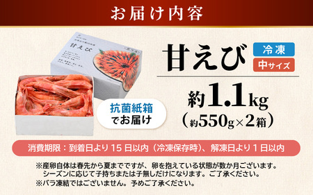 絶品甘えびを三国港からお届け！海の上で食べる甘海老の味！漁船直送船内瞬間冷凍 甘えび 約1.1kg（550g×２）【海老 えび エビ アマエビ あまえび 甘海老 赤エビ アカエビ あかえび ホッコクア