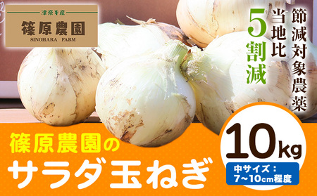 節減対象農薬 当地比5割減 サラダ玉ねぎ (中サイズ) 10kg《4月上旬-5月下旬頃出荷》熊本県 葦北郡 津奈木町 篠原農園 野菜 たまねぎ 