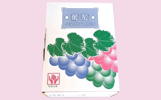 【2026年発送】 開田ぶどう園 シャインマスカット 2kg （茨城県共通返礼品・石岡市産） ／ シャインマスカット ぶどう 葡萄 ブドウ 果物 フルーツ