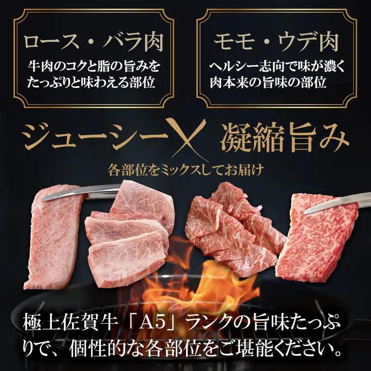 佐賀牛 焼肉  800g  焼肉 牛肉 厳選部位 C210-008