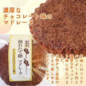 【焼き菓子】マドレーヌ しっとりチョコレート 5個入 洋菓子