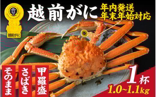 【先行予約】選べる！美味しさ直送【成前特選】越前かに（1.0～1.1kg）1杯【年内発送・年末年始対応】姿【L-028017_06】/ 正月【年内発送 年内お届け】福井県 福井 オス 雄 ズワイガニ ボイル 冷蔵 越前ガニ 越前がに 越前カニ ずわいがに ずわい蟹 かに カニ 蟹 指定 茹で 姿 甲羅盛