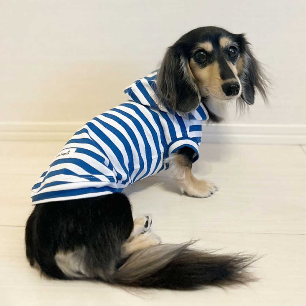 【ふるさと納税】ボーダーパーカー ホワイト×ブルー（ワンちゃん用） （SS/S/MM/Mサイズ） / ドッグウェア ペット用品 犬用 服 お揃い ボーダー / 佐賀県 / Canis Lupus[41AAAN014]