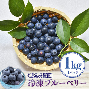 くよもん農園 冷凍ブルーベリー 1kg【人気の返礼品】AG01