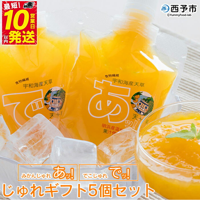 ＜じゅれ ギフト 5個セット＞※1か月以内に順次出荷 果物 みかん 伊予柑 温州 柑橘 ジュレ あけはまシーサイドサンパーク 飲んで応援 特産品 愛媛県 西予市 【常温】
