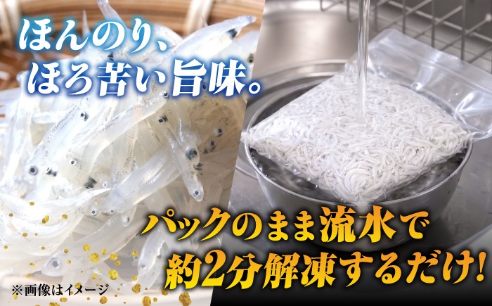 しらす 冷凍 シラス 小分け パック 釜揚げ 冷凍 魚介類 鮮魚 海鮮 海産物