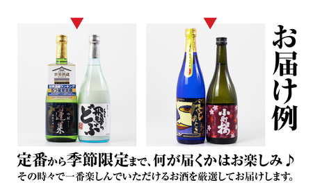 【全9回】笑顔溢れる日本酒定期便 [S877][渡辺酒造]