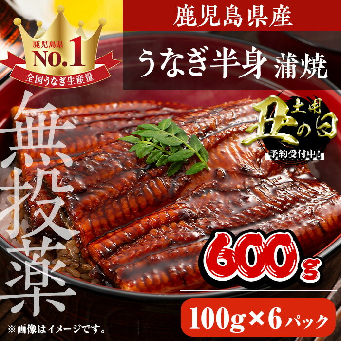 【ふるさと納税】鹿児島県産うなぎ半身カットセット (100g×6パック、タレ・山椒付き) 鰻 ウナギ うな重 ひつまぶし かばやき 九州産 国産 冷凍 真空パック カットうなぎ 蒲焼き【西日本養鰻】