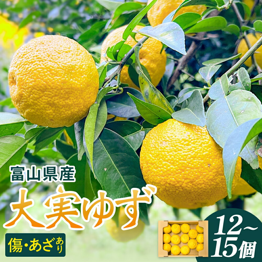 【ふるさと納税】富山県産 大実ゆず 12個-15個 ゆず 柚子 果物 フルーツ 国産 富山県 氷見市