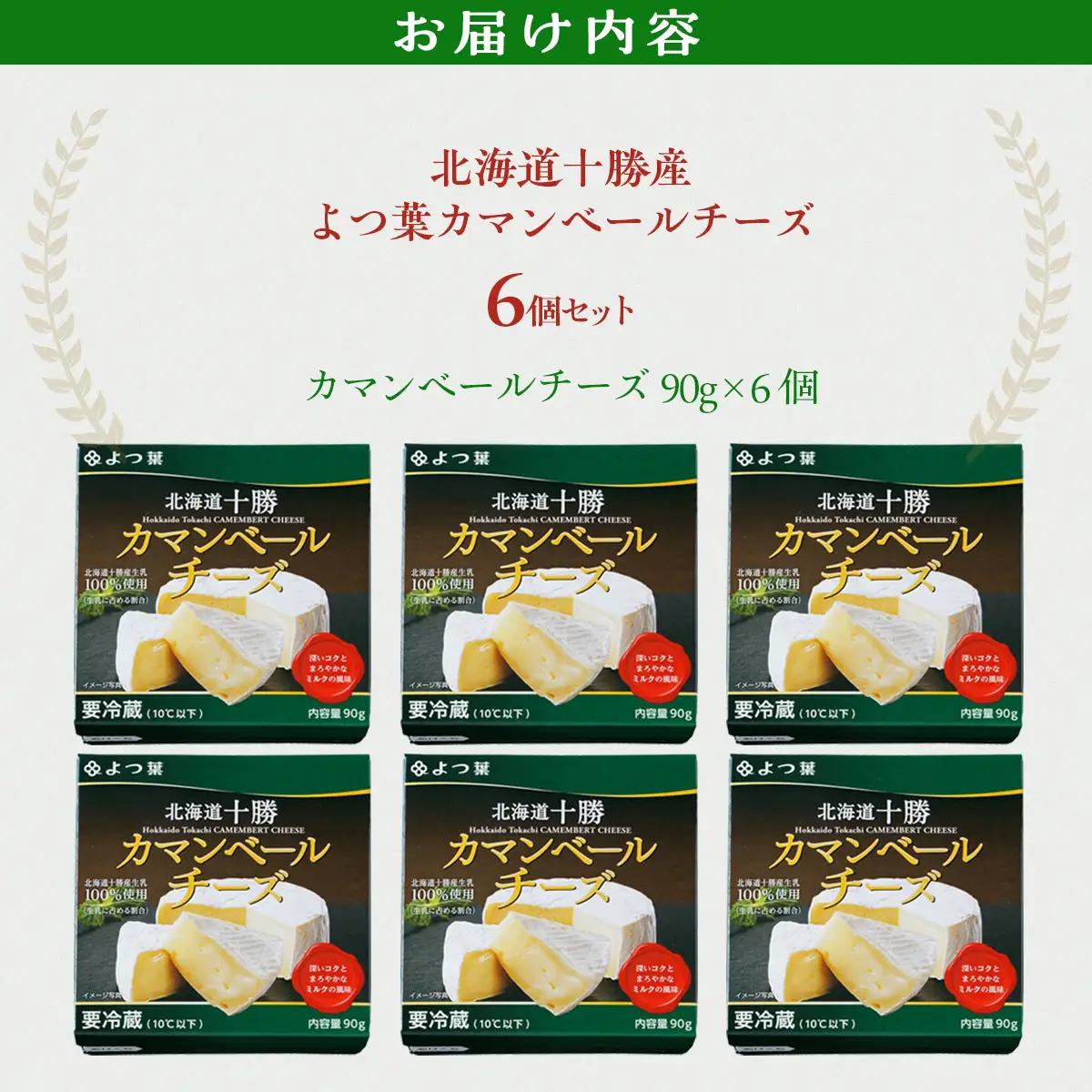 北海道  よつ葉カマンベールチーズ6個 【人気 おすすめ     セット  送料無料 】 SKA032