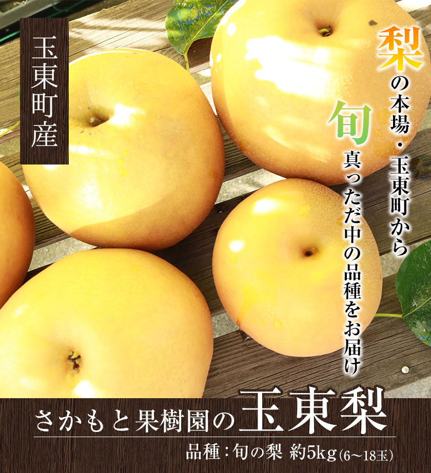 【先行予約】さかもと果樹園の玉東梨 約5kg 《8月下旬-10月上旬頃出荷》 (6玉-18玉前後) 梨 なし 果物 旬の梨---sg_csakanasi_ad810_24_14000_5kg---