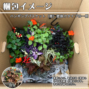 東北最大級のガーデニング専門店 厳選 『ハンギングバスケット』雅 壁掛けタイプ 8種類 ～ 10種類 【花工房らら倶楽部】 花 生花 フラワー 植物 観葉植物 バスケット 季節 インテリア ガーデニン