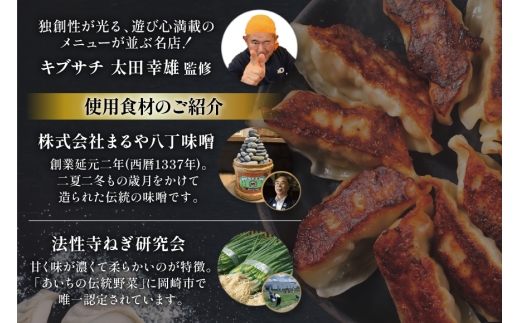 餃子 岡崎餃子 15個 3回 定期便 [グローアップ 愛知県 岡崎市 ok23bzw550008] ぎょうざ ギョウザ 冷凍餃子 冷凍ギョウザ 冷凍ぎょうざ おかず 冷凍おかず おつまみ ツマミ