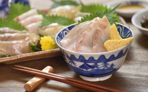 A462 九十九島海鮮紀行（お刺身・海鮮丼）