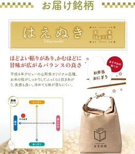 SA2675　10月上旬配送／令和7年産【玄米】はえぬき　5kg 農家直送 HO