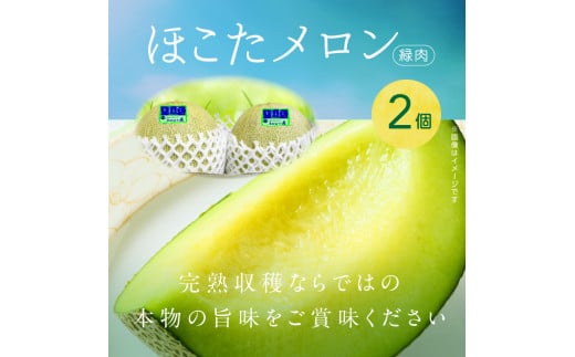 メロンの森　ほこたメロン（緑肉）　2個入り
