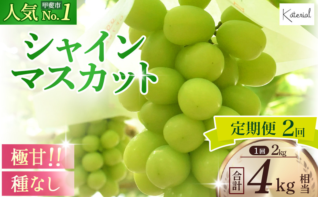 
【定期便】2.0kg相当×2回 シャインマスカット 山梨県産 国産 産地直送 人気 おすすめ 贈答 ギフト お取り寄せ フルーツ 果物 くだもの ぶどう ブドウ 葡萄 新鮮 甘い 皮ごと 甲斐市人気 AD-165
