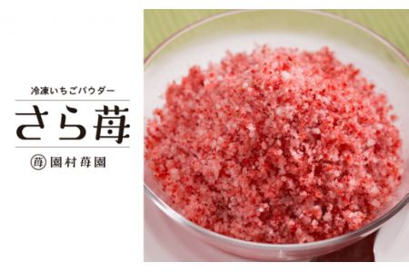 74-41　園村苺園　熊本県宇土産 完熟冷凍いちご「さら苺」1kg（500g×2パック）
