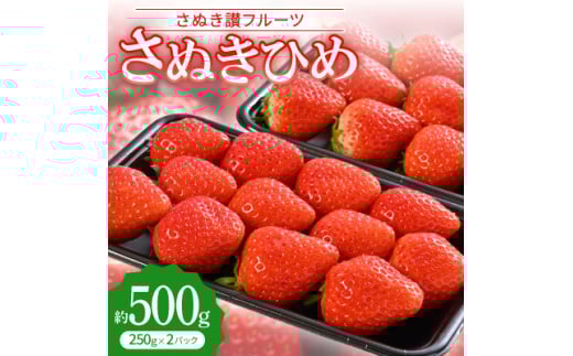 「さぬき讃フルーツ」さぬきひめ 　約500g＜令和8年1～3月発送＞【1608470】