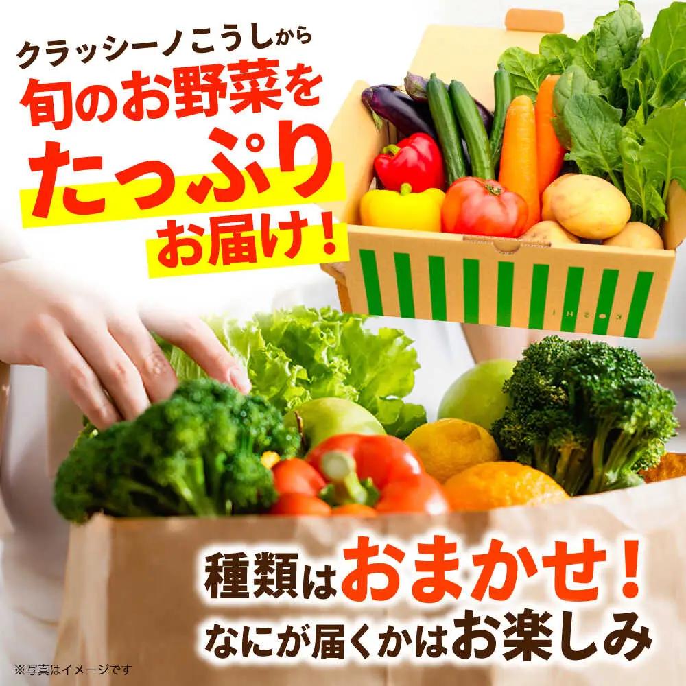 【年5回コース定期便】合志の旬のお野菜10品から12品目  野菜[AYAB020]