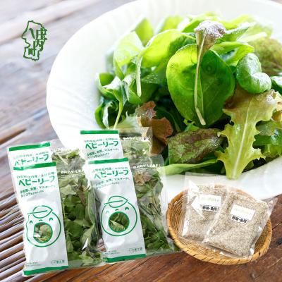ふるさと納税 庄内町 庄内産 ベビーリーフミックス 70g×4袋と野菜用ハーブ塩セット 土耕栽培 サラダ スムージー 若葉