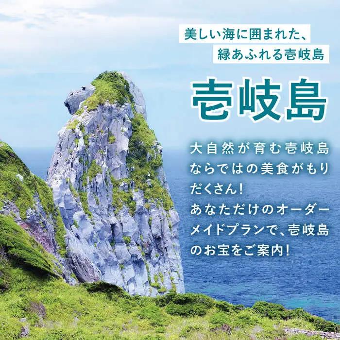 50万円【壱岐市コンシェルジュ】返礼品おまかせ！寄附額 50万円コース [JZY001]