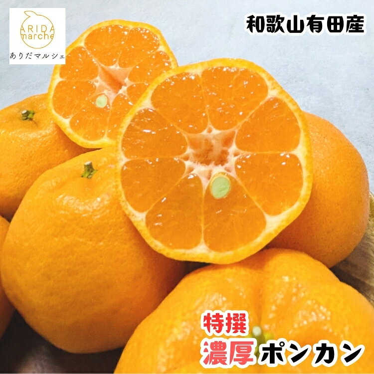 【ふるさと納税】【選べる内容量】極甘 柑橘 特撰 濃厚 ポンカン 1.5kg 3kg 5kg +200g(傷み補償分) ｜ みかん 蜜柑 柑橘 果物 フルーツ くだもの 果実 国産 和歌山県 晩柑