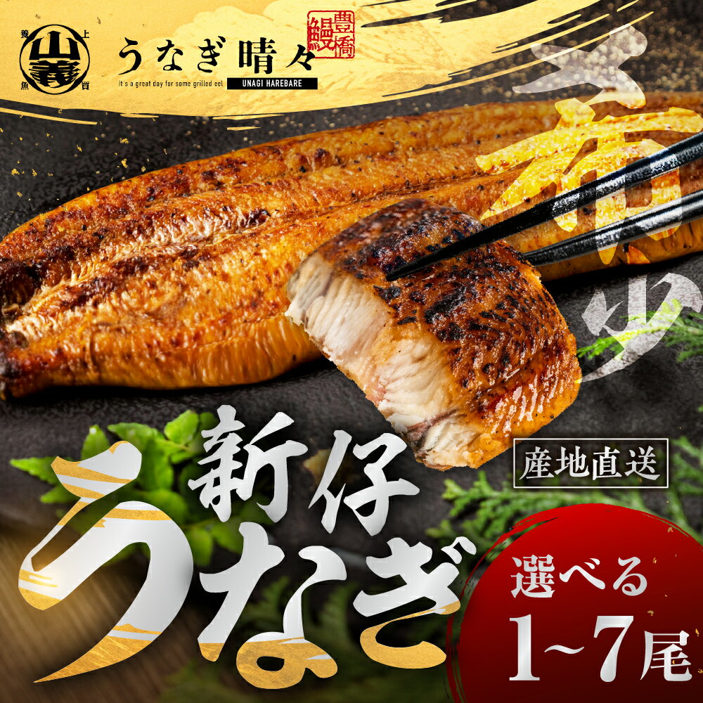 【ふるさと納税】＼★4.9（10月1日時点）高評価／ 『うなぎ晴々』希少 蒲焼 白焼 厳選 国産 山義養魚 新仔うなぎ 若うなぎ 鰻 簡易包装 ウナギ うなぎ 鰻 蒲焼 ギフト ひつまぶし 土用丑の日 ギフト 冷凍 丑の日 簡単調理 豊橋うなぎ お取り寄せ 送料無料 豊橋 年末配送