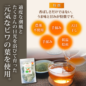 びわの葉茶 25パック ビワ お茶 ティーパック