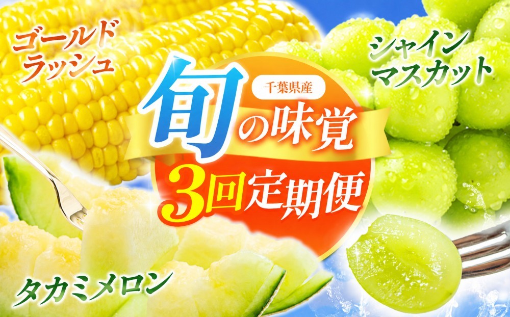 
                  【 定期便 3回 】旬の味覚 3種 とうもろこし メロン シャインマスカット 【 愛彩畑 のセレクトシリーズ 】 | 人気の 直売所  あいさいばたけ トウモロコシ タカミメロン 貴味 緑 ぶどう 果物 フルーツ 君津市 きみつ 千葉県
                