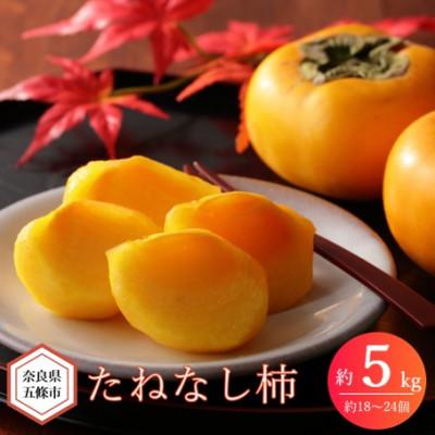 ふるさと納税 五條市 奈良県産　たねなし柿　約5kg(約18〜24個)