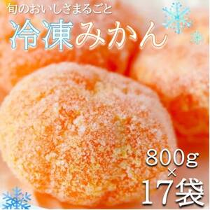 旬の美味しさそのままみかん!外皮をむいたまるごと冷凍みかん　13.6kg(800g×17袋セット)【配送不可地域：離島】【1527828】