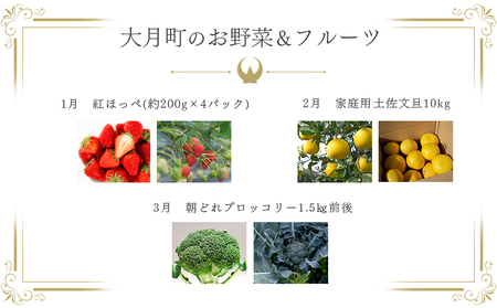 【定期便 10回】旬のお野菜 フルーツ セット 新鮮 産地直送 果物 健康志向 ギフト 柑橘 いちご