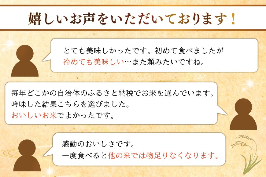 米 定期便 6回 令和8年 雪若丸 10kg 6回 計60kg [渡部ファーム 山形県 高畠町 tk06ays810046] お米 白米 精米 ごはん ご飯 ブランド米