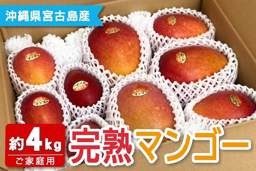 
            ★品切れ★FQ013 【宮古島産マンゴー】ご家庭用 4kg（8-11玉）マンゴーファーム宮古島
          