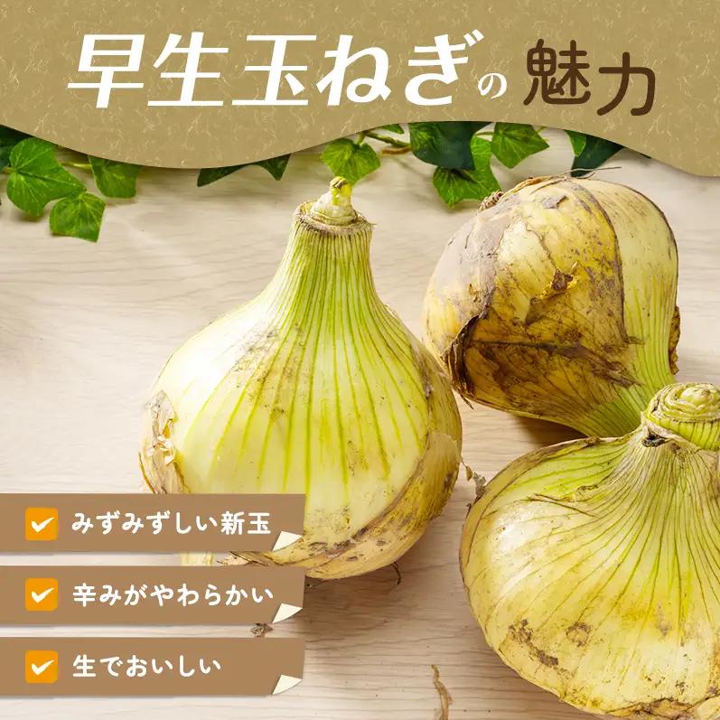 ふれあい市の会 早生 玉ねぎ 5kg タマネギ オニオン 野菜 旬 甘い 淡路島 洲本市
