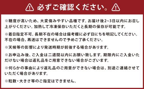 【2023年7月上旬より発送開始】とうもろこし ドルチェドリーム 8本