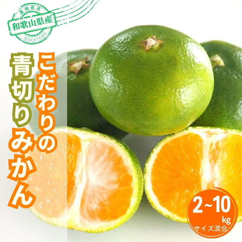 【ふるさと納税】 【ご家庭用】こだわりの青切りみかん【選べる容量】 約2kg / 約4kg / 約5kg / 約7.5kg / 約10kg 【2026年9月下旬から順次発送】