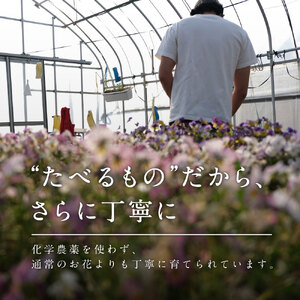 食べられるドライフラワーおまかせ5点セット（ドライエディブルフラワー）　A-G13　87farm 東近江