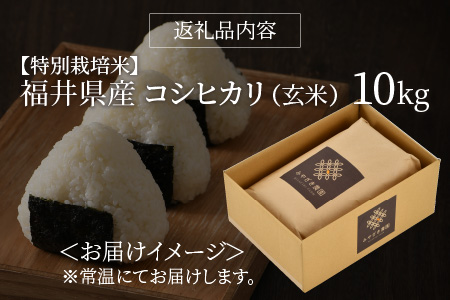 【令和5年産】【特別栽培米】福井県産 コシヒカリ 10kg ～化学肥料にたよらない有機肥料100%～ ネオニコフリー（玄米）[A-13405_02]