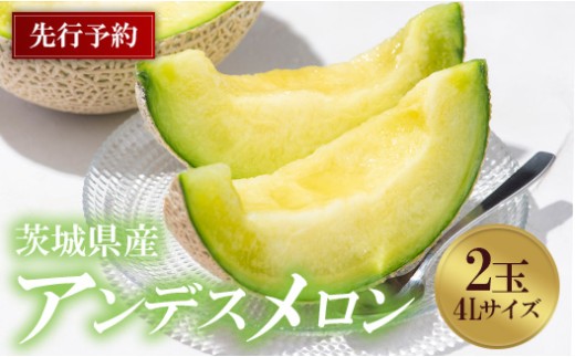 740 アンデスメロン 4L×2玉 先行予約 茨城県茨城町産 メロン【小島 正幸】