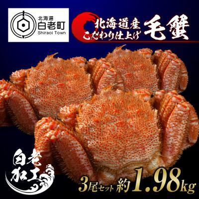ふるさと納税 白老町 毛蟹 ボイル済み 冷凍 3尾セット 約1.98kg BM039