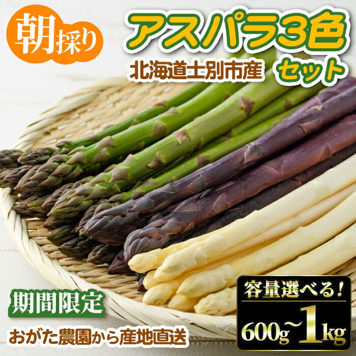 【ふるさと納税】《数量・期間限定》朝採り アスパラ3色セット(600g・1kg)【2026年4月下旬以降発送予定】アスパラガス アスパラ ホワイトアスパラ グリーンアスパラ パープルアスパラ 紫アスパラ 北海道産 野菜 朝採り 産地直送 新鮮野菜 【おがた農園】