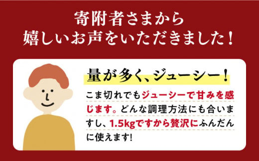 こま切れ 豚  訳あり 【3回定期便】 長崎うずしおポーク こま切れ 1.5kg（500g×3P） 長崎県産 西海市産 豚肉 豚 ぶた こま切れ 小分け [CAG016]＜スーパーウエスト＞