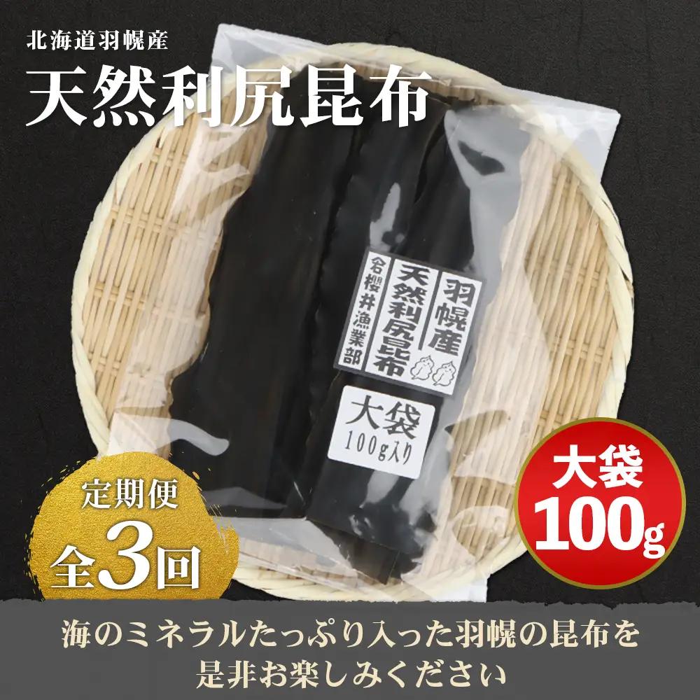 【定期便：全3回】北海道羽幌町産 天然利尻昆布（大袋）×100g【28007】