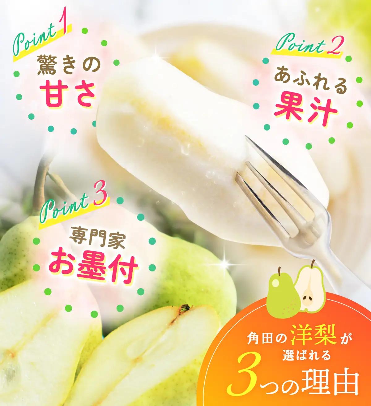 【2026年発送】【松崎果樹園】梨「ラ・フランス」約3kg（7～8玉入） ｜  梨