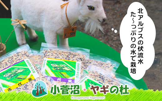 古代米（玄米）1.5kg（300g×5袋） 富山県ヤギの杜 魚津市
